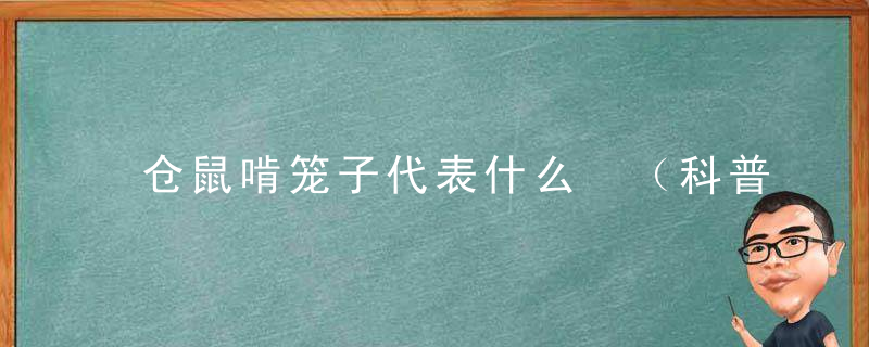 仓鼠啃笼子代表什么 （科普）